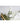 Brûme d'ambiance Dot & Lil Eucalyptus & lime bru0005