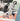Affiche 11X14 Dréa Collage Étoile Polaire