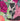 Affiche 8.5X11 Dréa Collage Jardinage